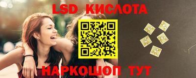 мдпв Камышлов