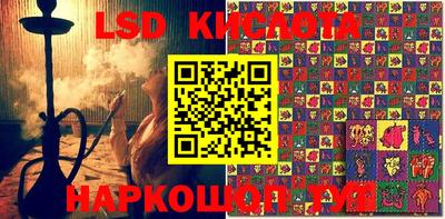 мдпв Камышлов