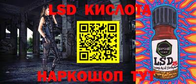 мдпв Камышлов