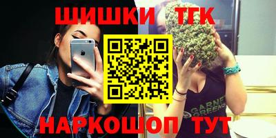 мдпв Камышлов